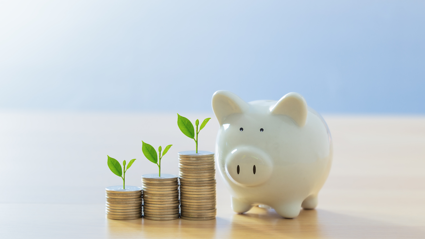 white piggy bank and stacks of silver coins with sprouts